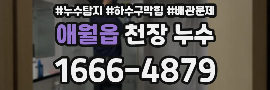 애월읍 천장 누수