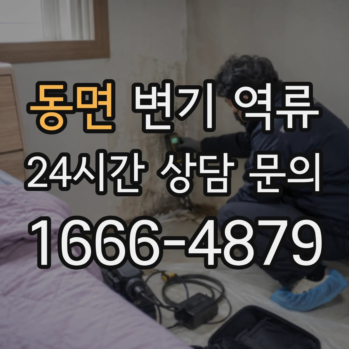 동면 변기 역류