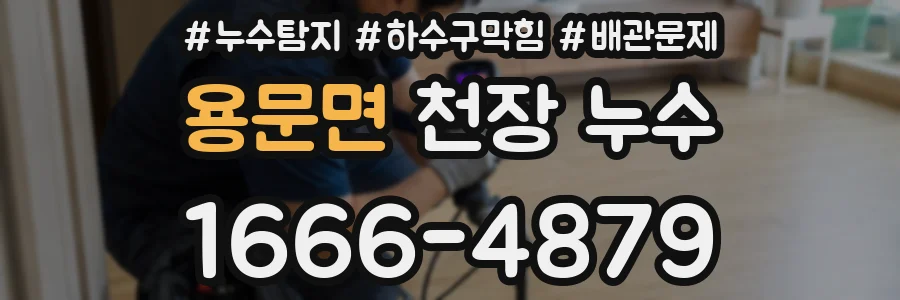 용문면 천장 누수