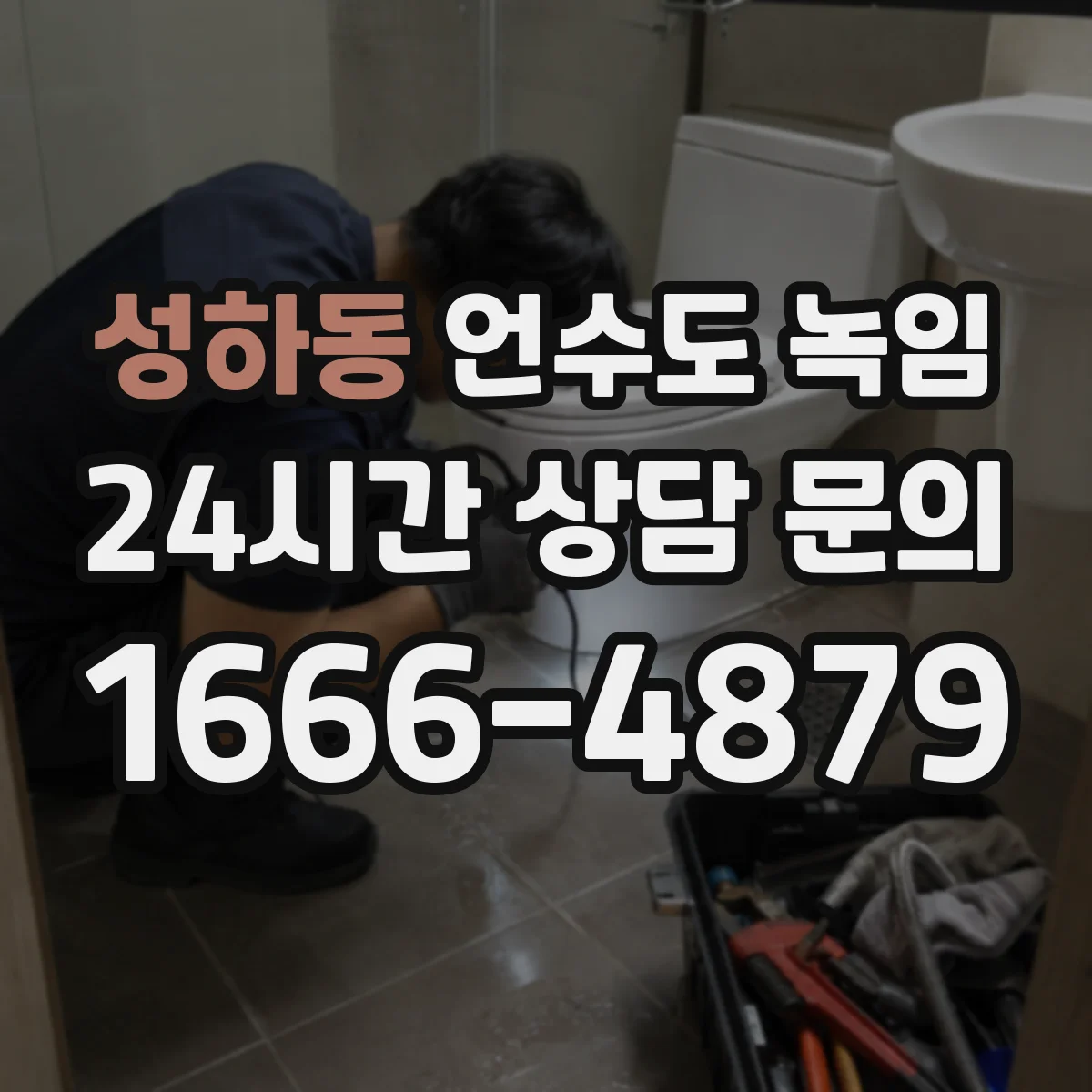 성하동 언수도 녹임