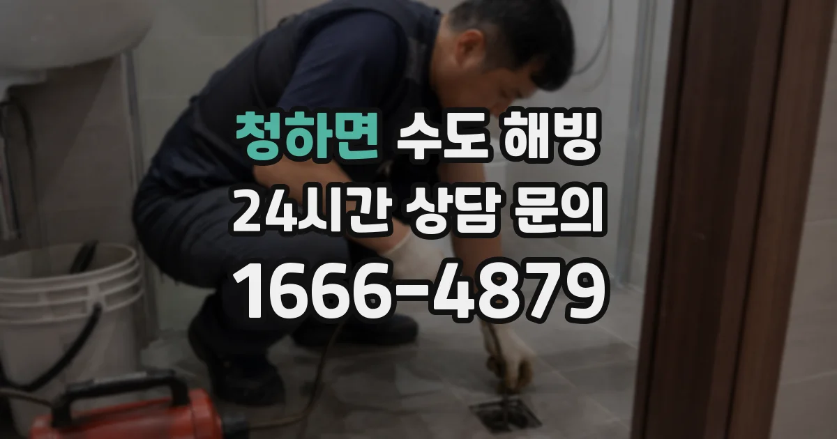 청하면 수도 해빙