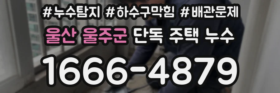 울산 울주군 단독 주택 누수