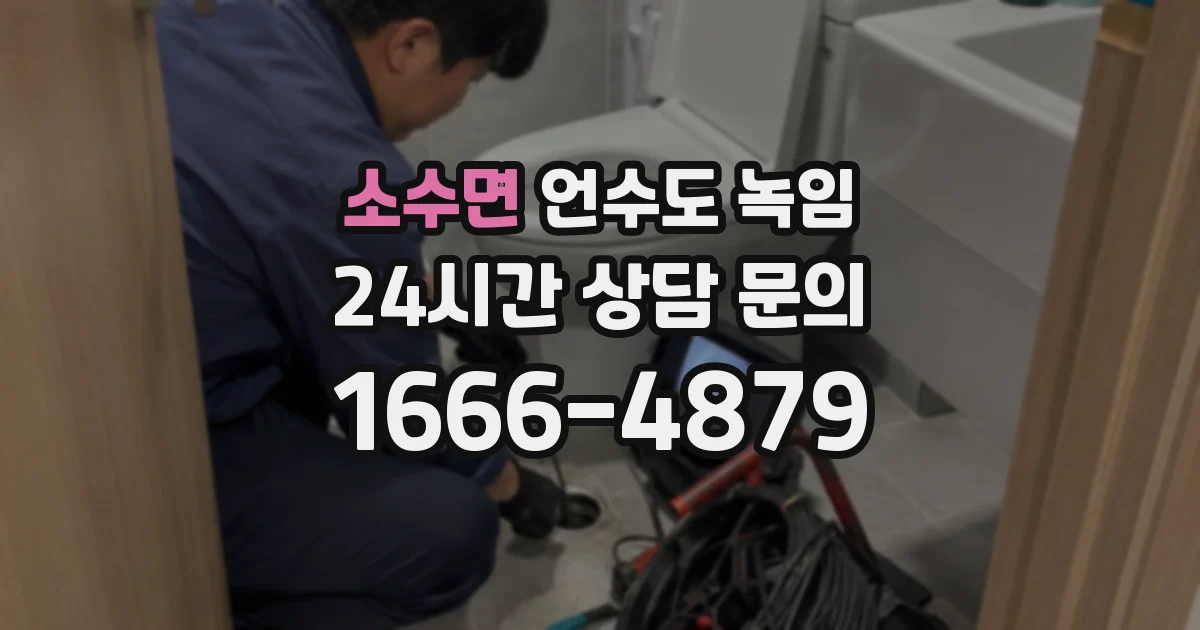 소수면 언수도 녹임