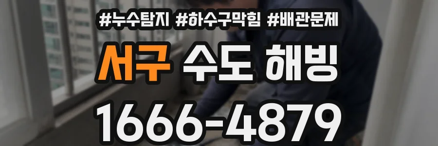 서구 수도 해빙