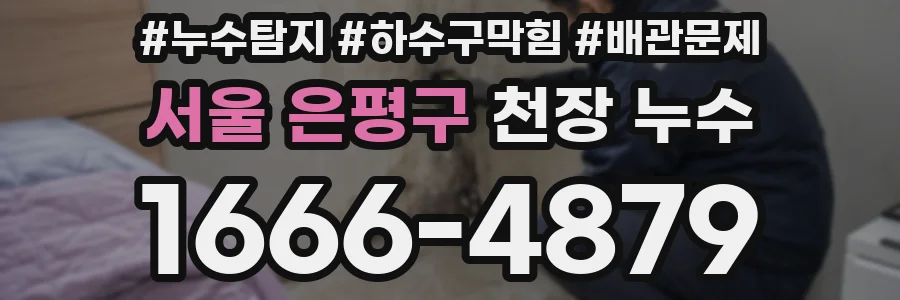 서울 은평구 천장 누수