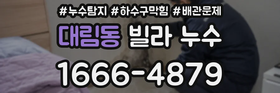 대림동 빌라 누수