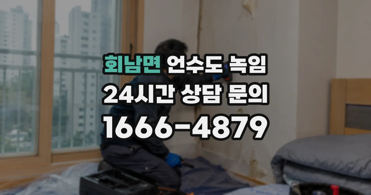 회남면 언수도 녹임