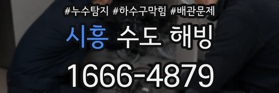 시흥 수도 해빙