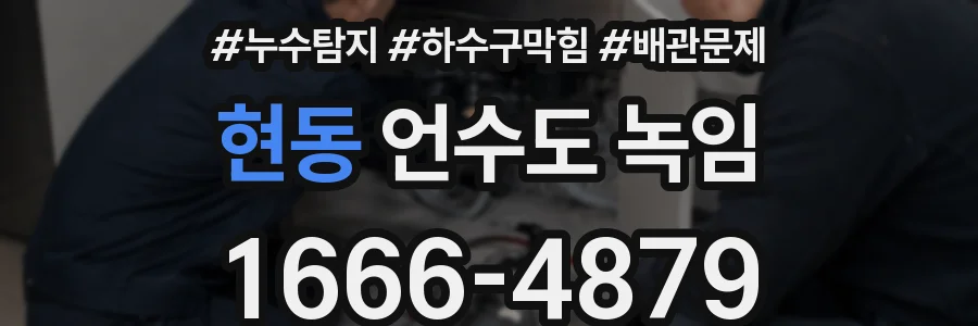 현동 언수도 녹임
