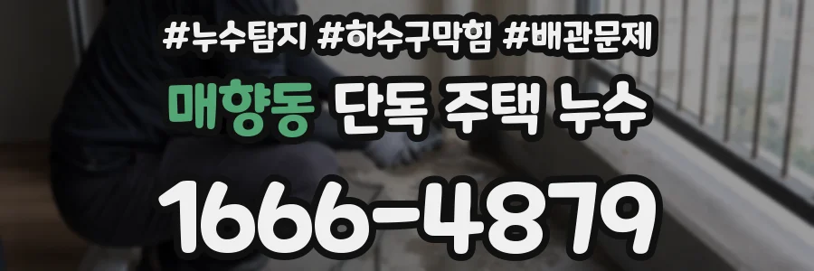 매향동 단독 주택 누수