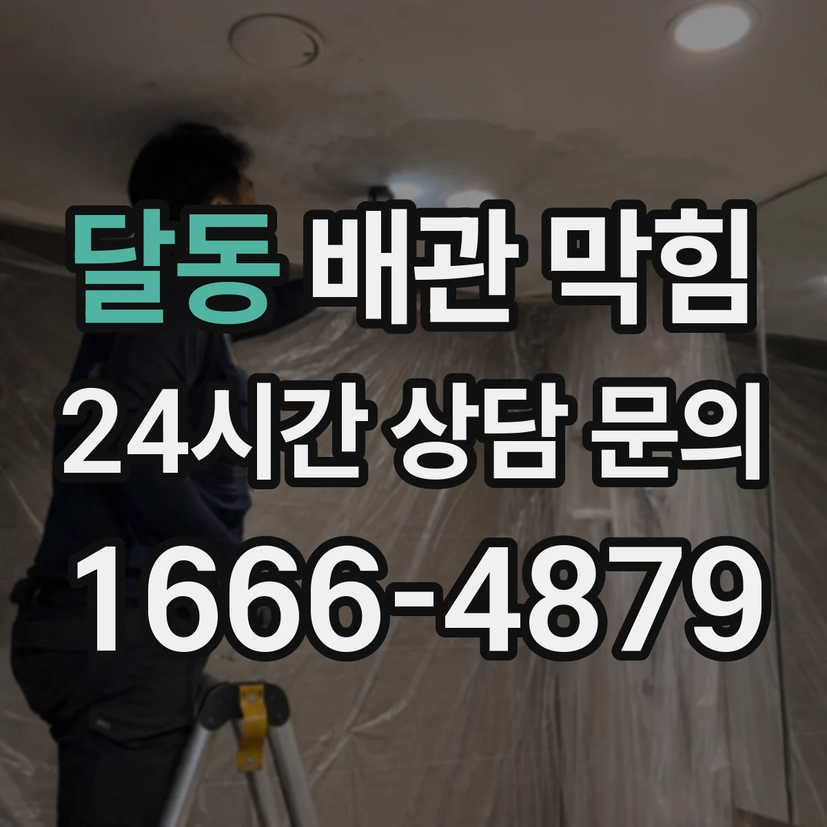 달동 배관 막힘
