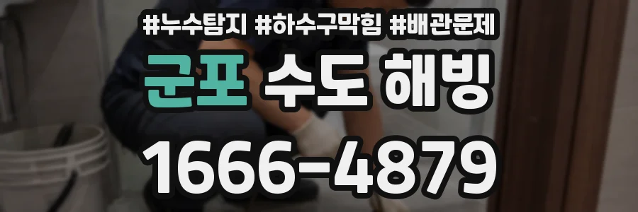 군포 수도 해빙
