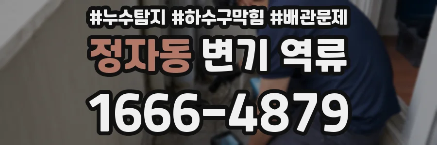 정자동 변기 역류