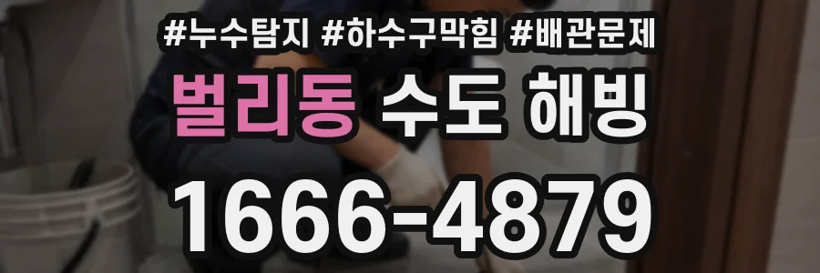 벌리동 수도 해빙