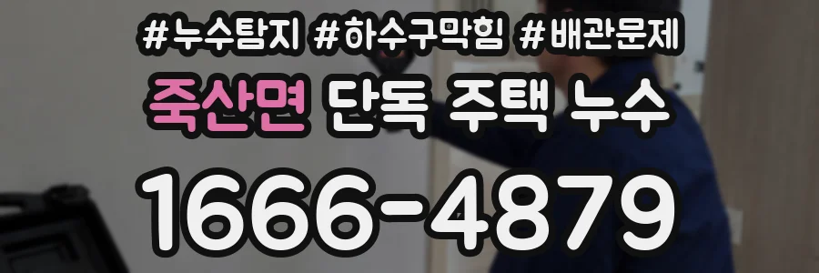 죽산면 단독 주택 누수