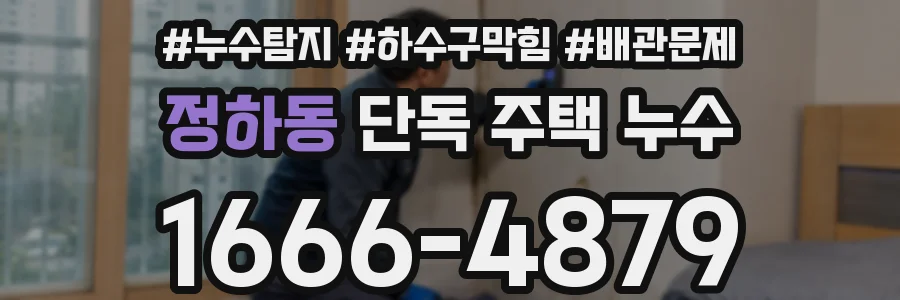 정하동 단독 주택 누수