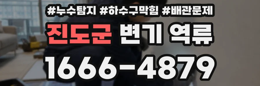 진도군 변기 역류