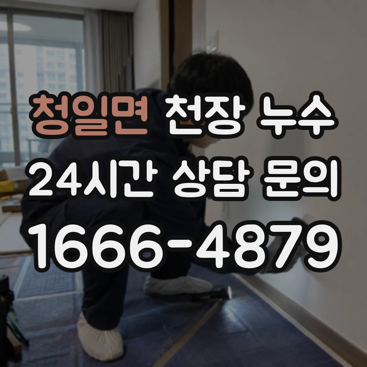 청일면 천장 누수