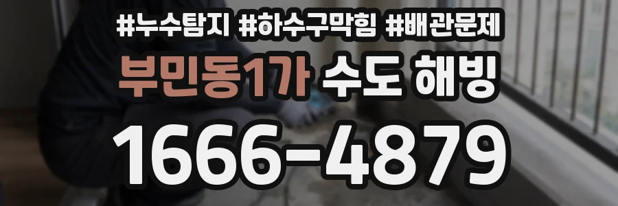 부민동1가 수도 해빙