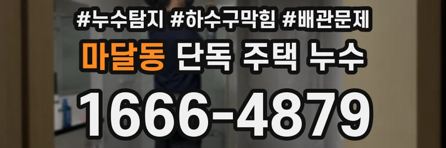 마달동 단독 주택 누수