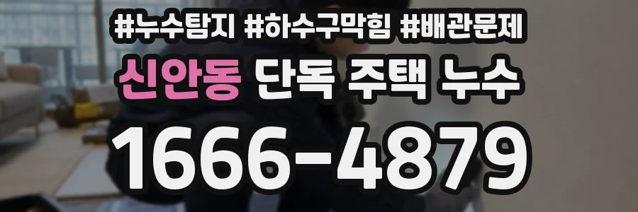 신안동 단독 주택 누수