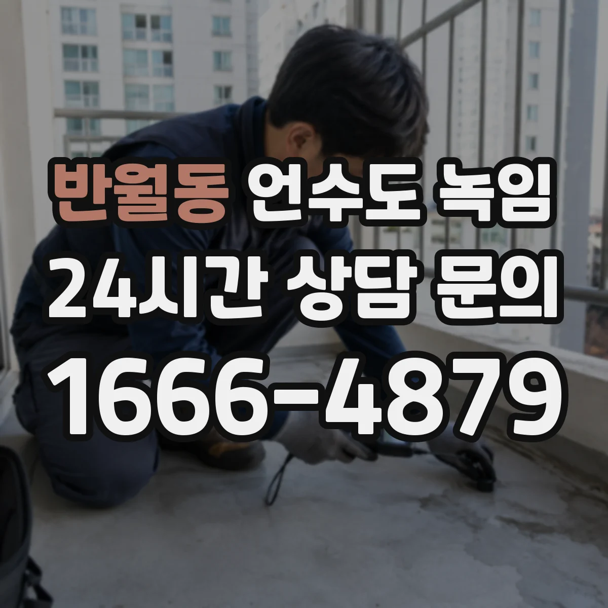 반월동 언수도 녹임