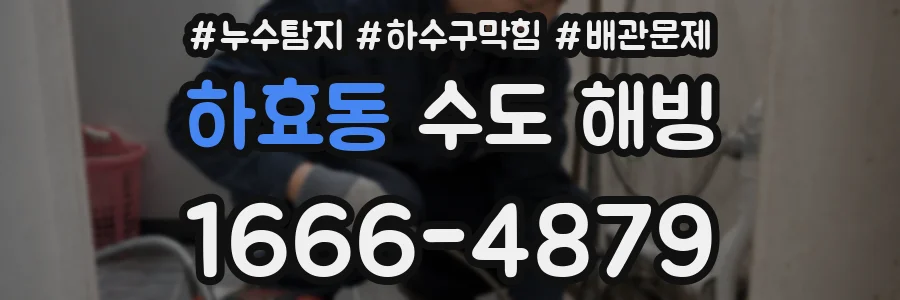 하효동 수도 해빙