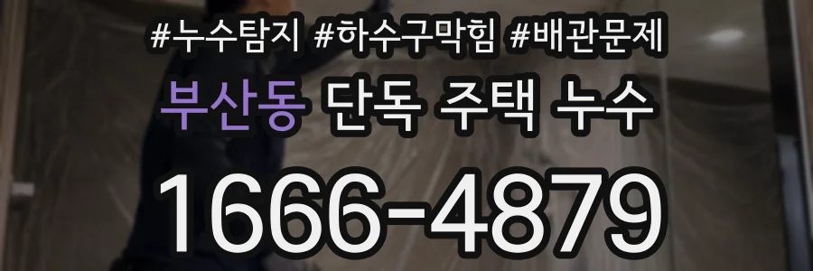 부산동 단독 주택 누수