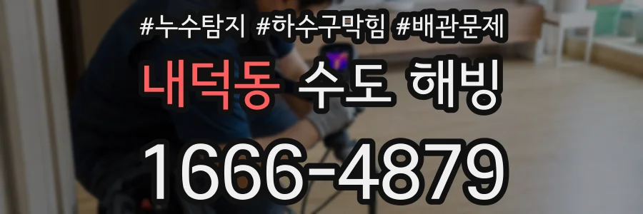 내덕동 수도 해빙