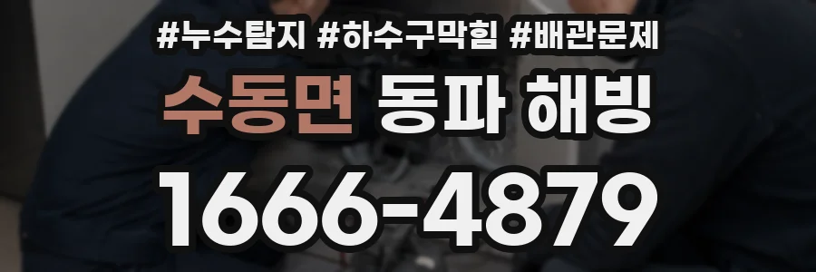 수동면 동파 해빙