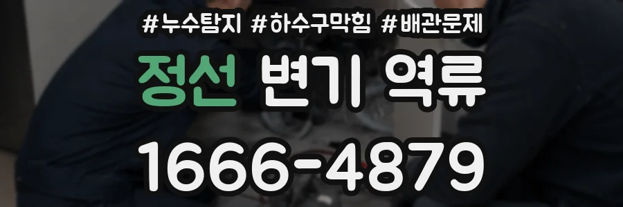 정선 변기 역류