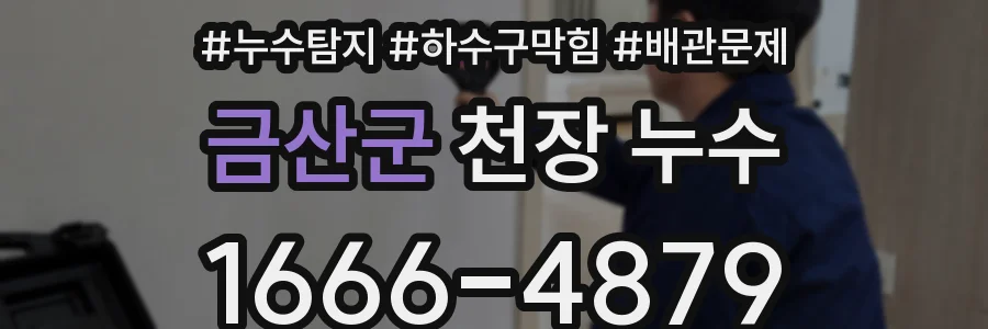 금산군 천장 누수