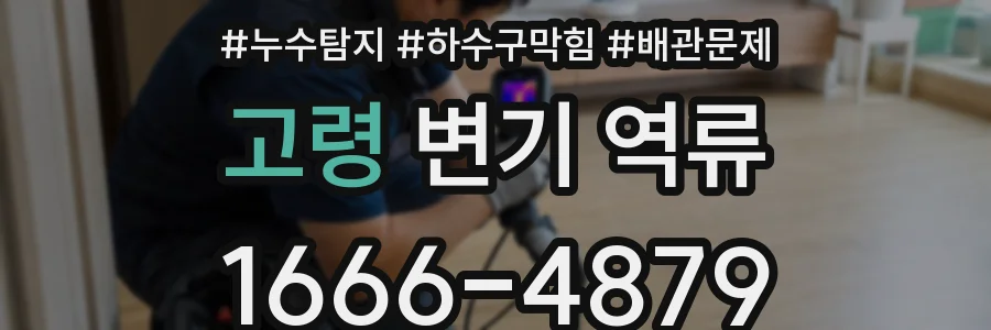 고령 변기 역류