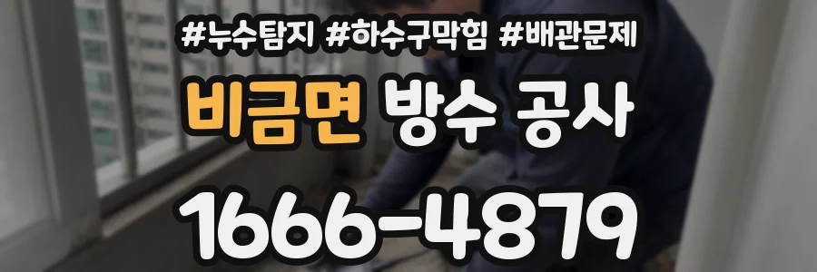 비금면 방수 공사