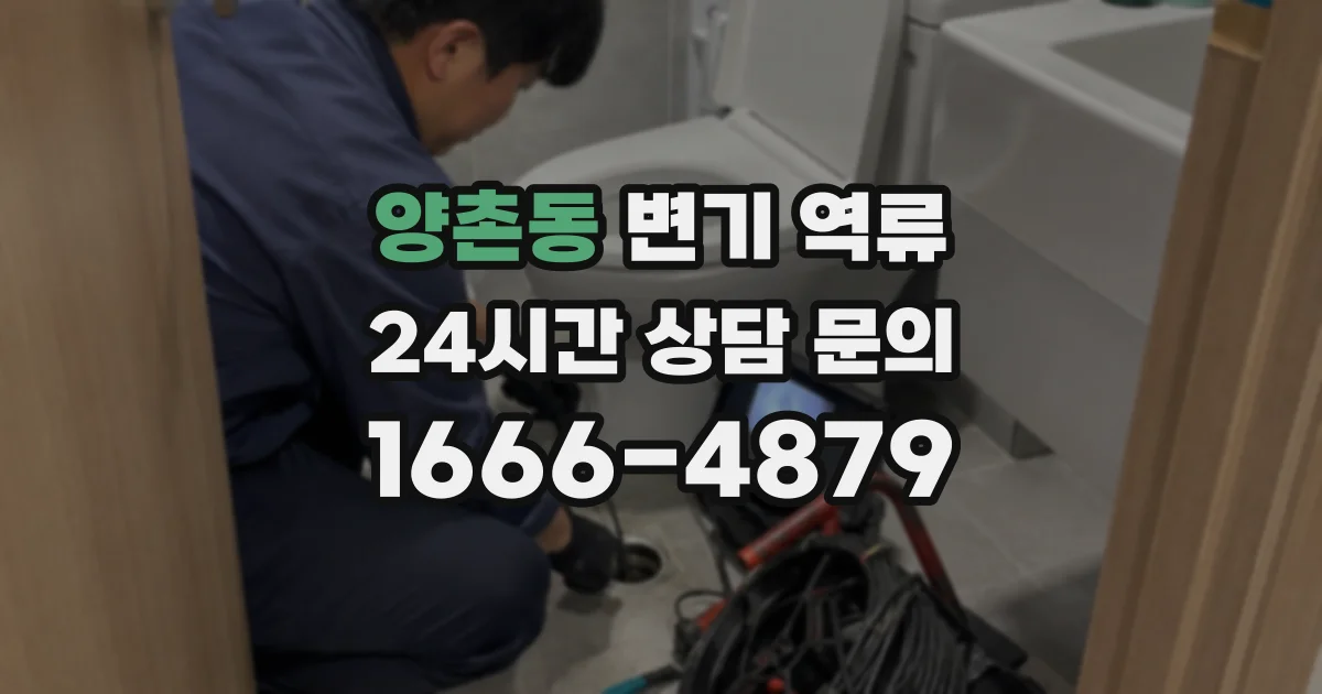 양촌동 변기 역류