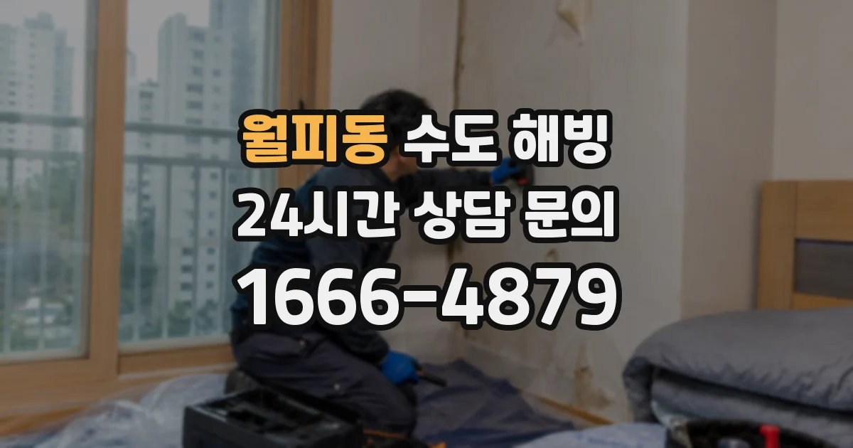 월피동 수도 해빙