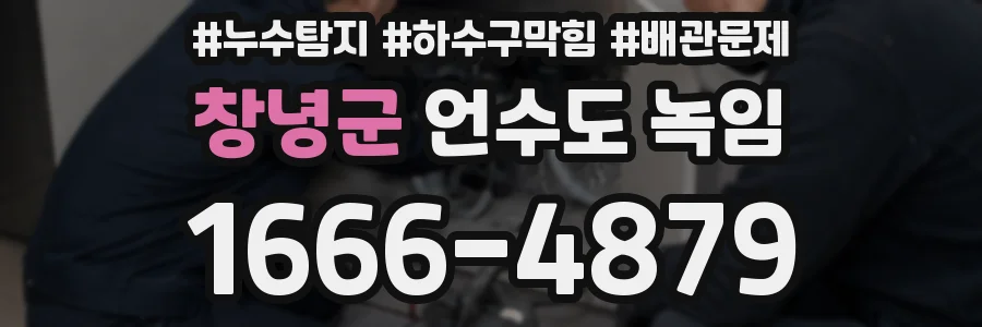 창녕군 언수도 녹임
