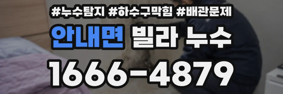 안내면 빌라 누수