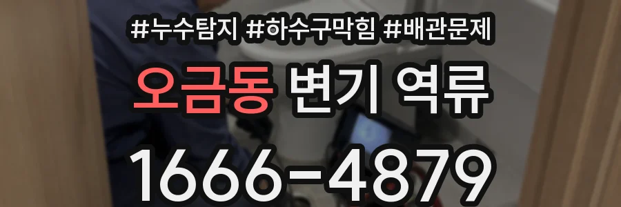 오금동 변기 역류