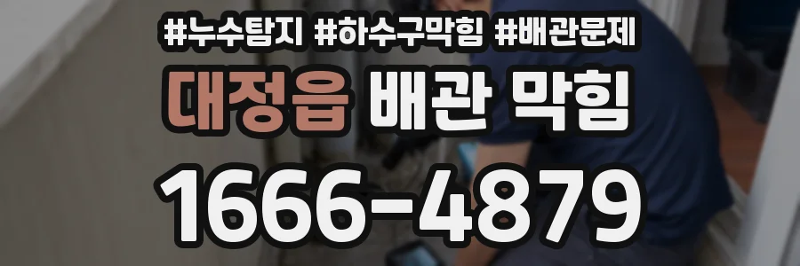 대정읍 배관 막힘