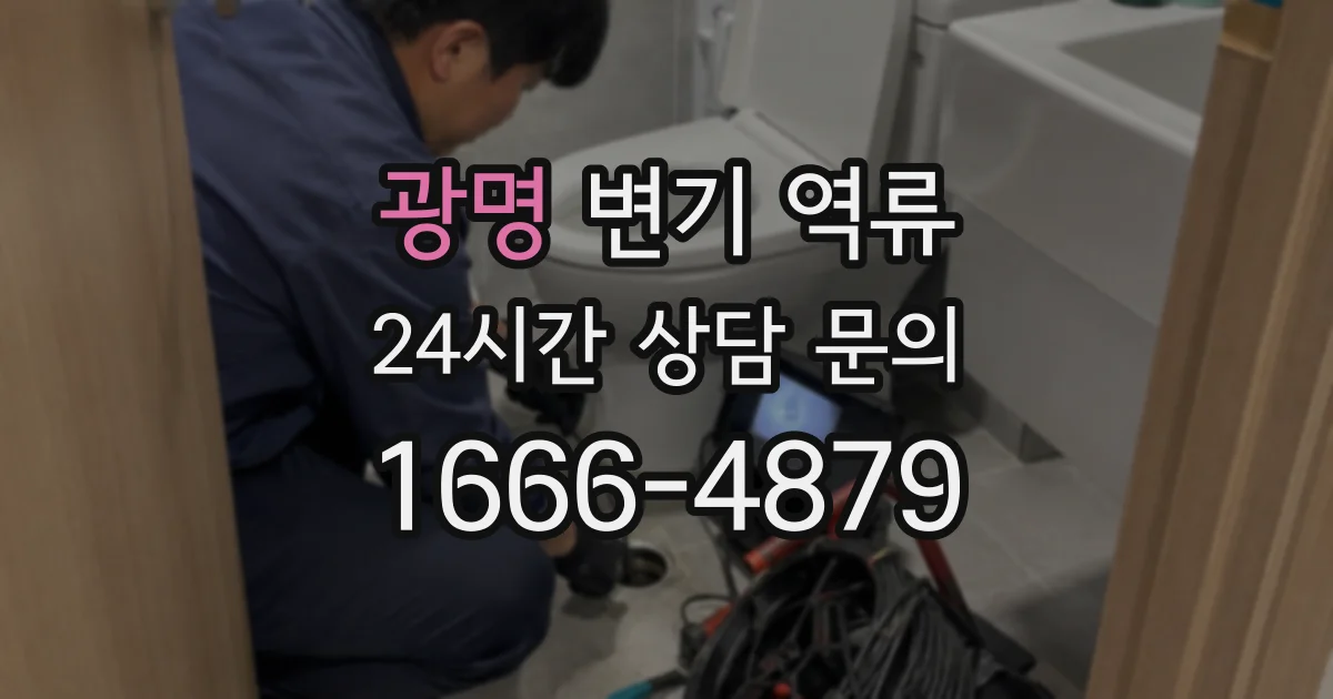 광명 변기 역류