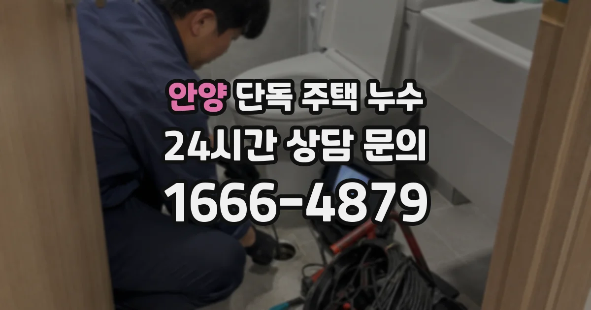 안양 단독 주택 누수