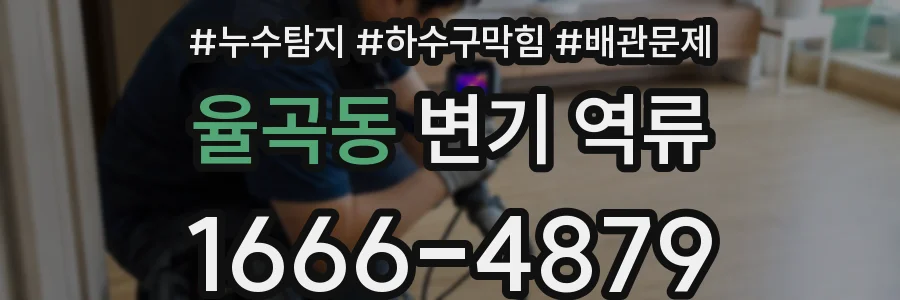 율곡동 변기 역류