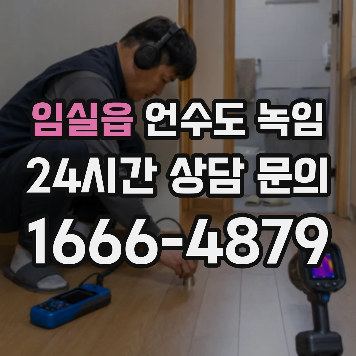 임실읍 언수도 녹임