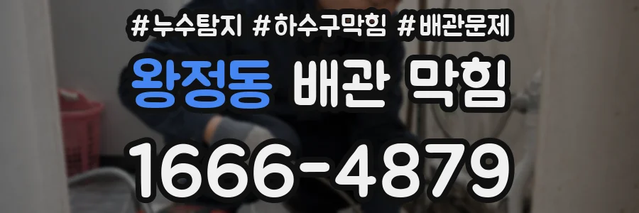 왕정동 배관 막힘