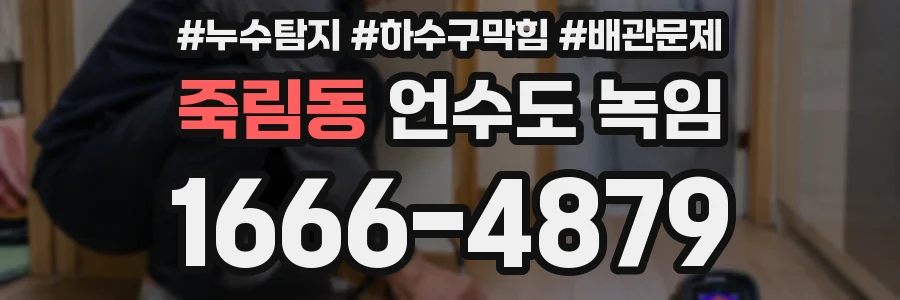 죽림동 언수도 녹임