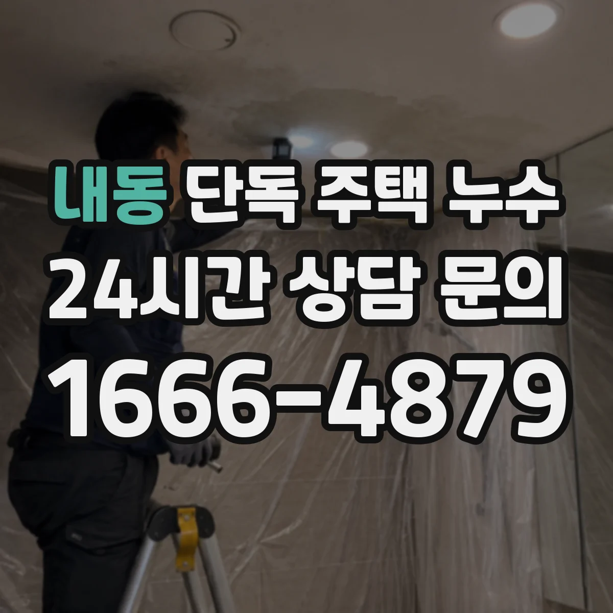 내동 단독 주택 누수