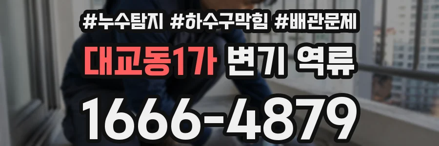 대교동1가 변기 역류