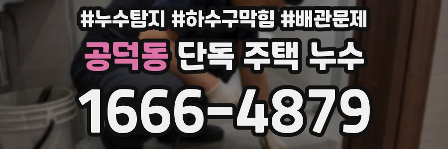 공덕동 단독 주택 누수