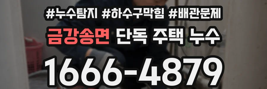 금강송면 단독 주택 누수